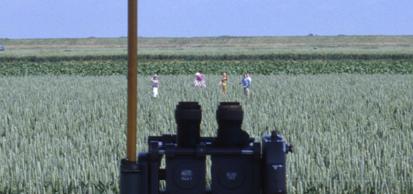 Animal Farm-detail-2