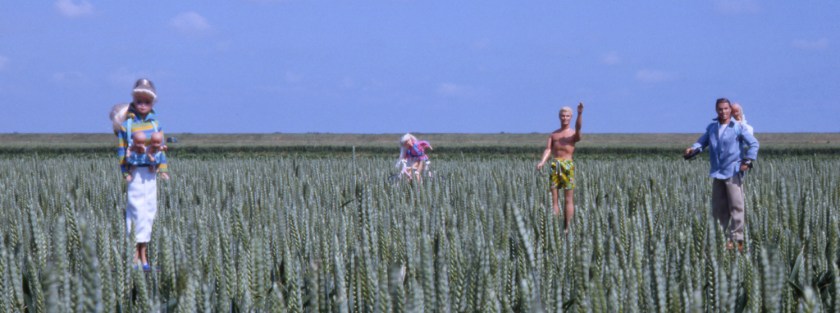 Animal Farm [Vier Poten Goed, Twee Poten Slecht]-detail-4 barbies