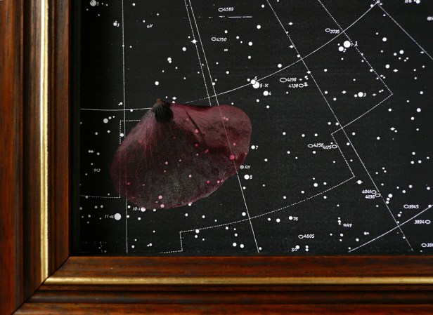 LaVidaEsUnPasahe(1)_2017_detail_P1100311-cr