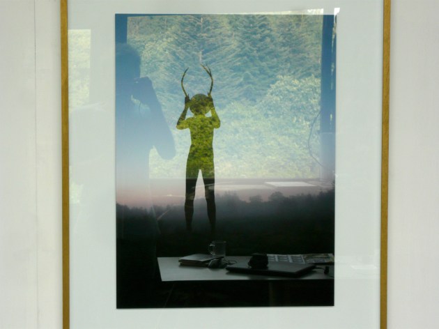 Nature Morte-2009-2016