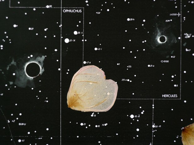 Secretos di mi Alma_2017_detail_P1100364