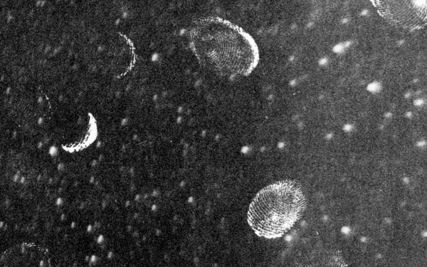 Stars and fingerprints-1986-detail
