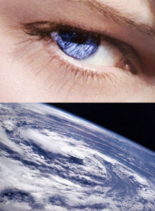 The Web That Has No Weaver [Concentric Bearings-One]-2002