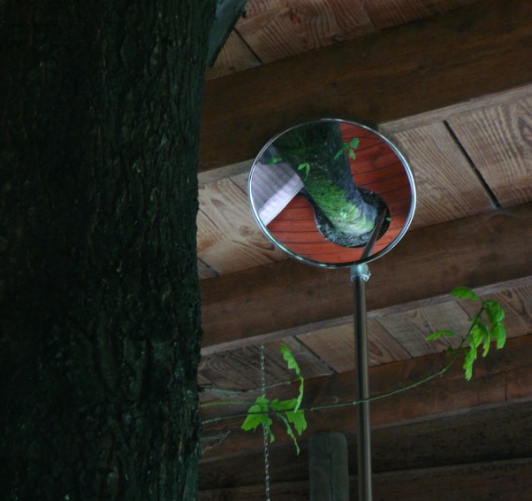 Tree In The House-2016-detail (2)