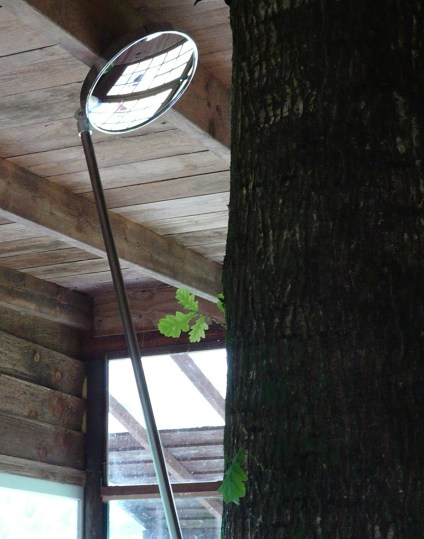 Tree In The House-2016-detail