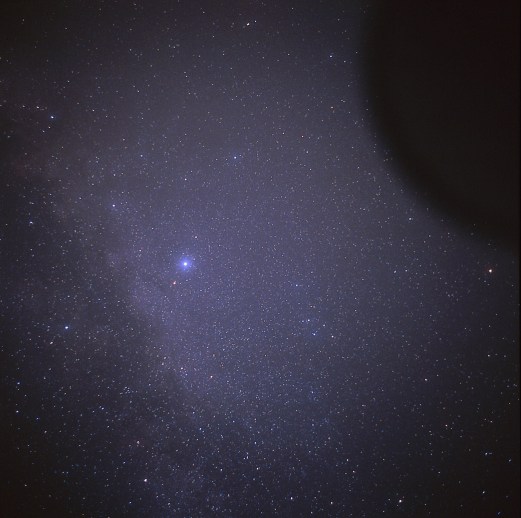 Altaïr with dolphinus 0604