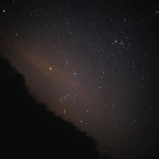 Orion Low Rising-2004.jpg