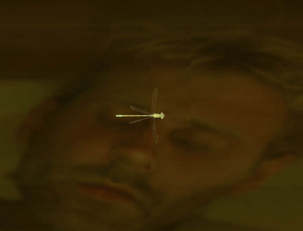 Festina lente #2-2002