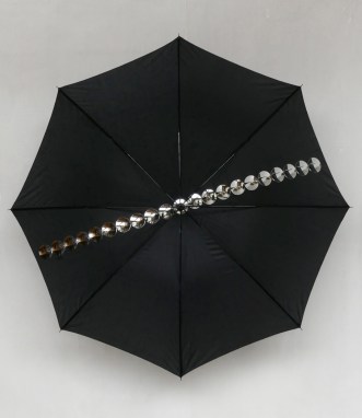 Ecliptique [La Vie E..]-2018-P1000221-cr