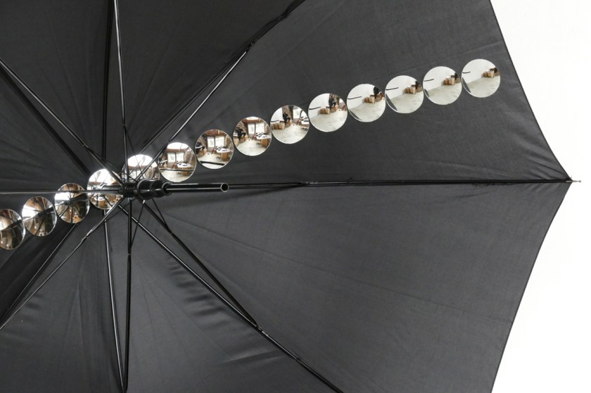 Ecliptique [La Vie E..]-2018-P1000225