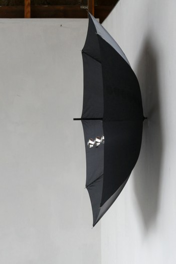 Ecliptique [La Vie E..]-2018-P1000241