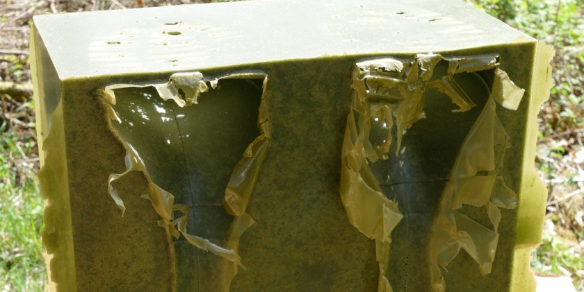 AM[Axis Mundi]#1-5-P1000467-cr