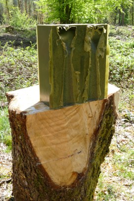 Am[Axis Mundi]#1-6-P1000471