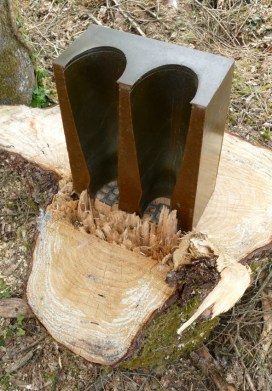 Asvatta #2-2-P1000697