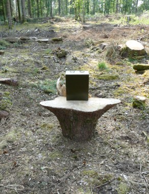 Asvatta #3-1-P1000963