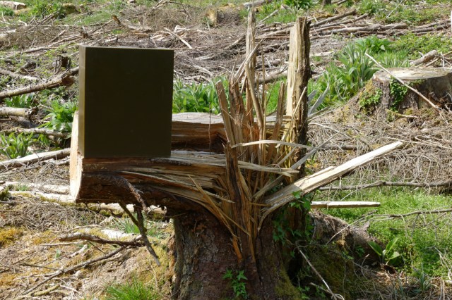 Monuments Funéraires#14-1-P1000577