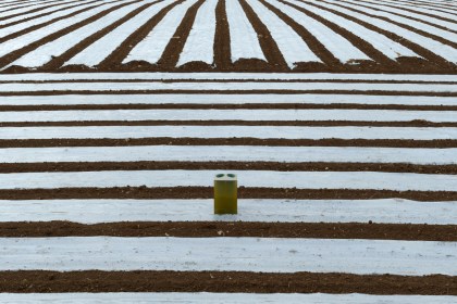 Couveuse-2018-P1000426