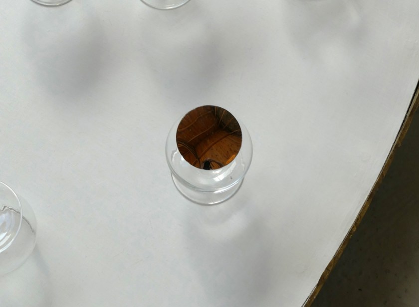 Corpus Christi-RAIE-Detail-P1010081