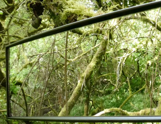 Rear View Mirror Jungle-2018-detail-DVpr-r-830