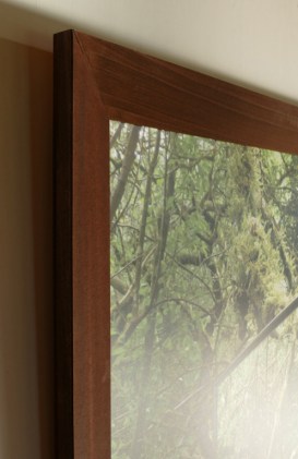 Rear View Mirror Jungle-2018-detail-P1010409