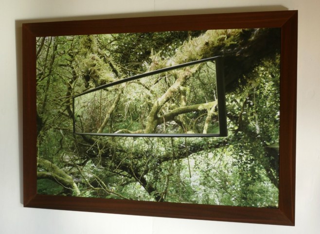 Rear View Mirror Jungle-2018-P1010406