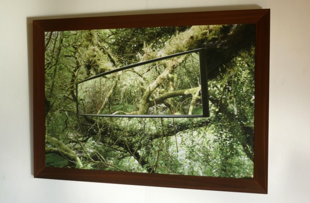 Rear View Mirror Jungle-2018-P1010406