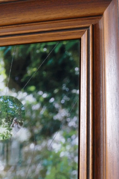 l'eveil de magritte-2018-detail-p1010527