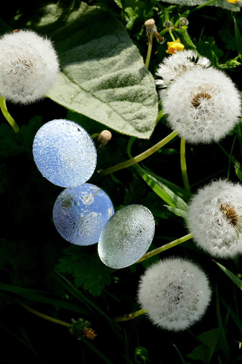 Constellations Célestes-P1000651