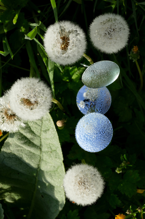 Constellations Célestes-P1000652