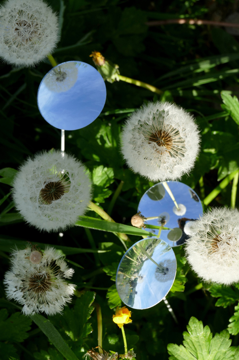 Constellations Célestes-P1000669