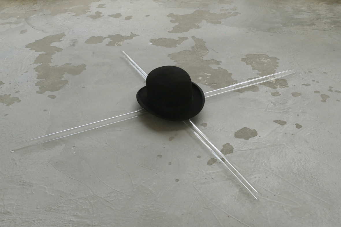 Endogenous Light-P1010609