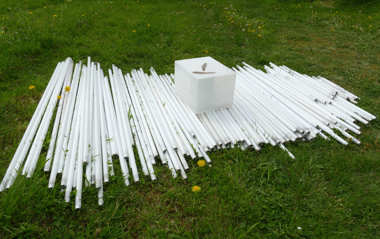 Lopen op Licht-2019-P1010992-lev